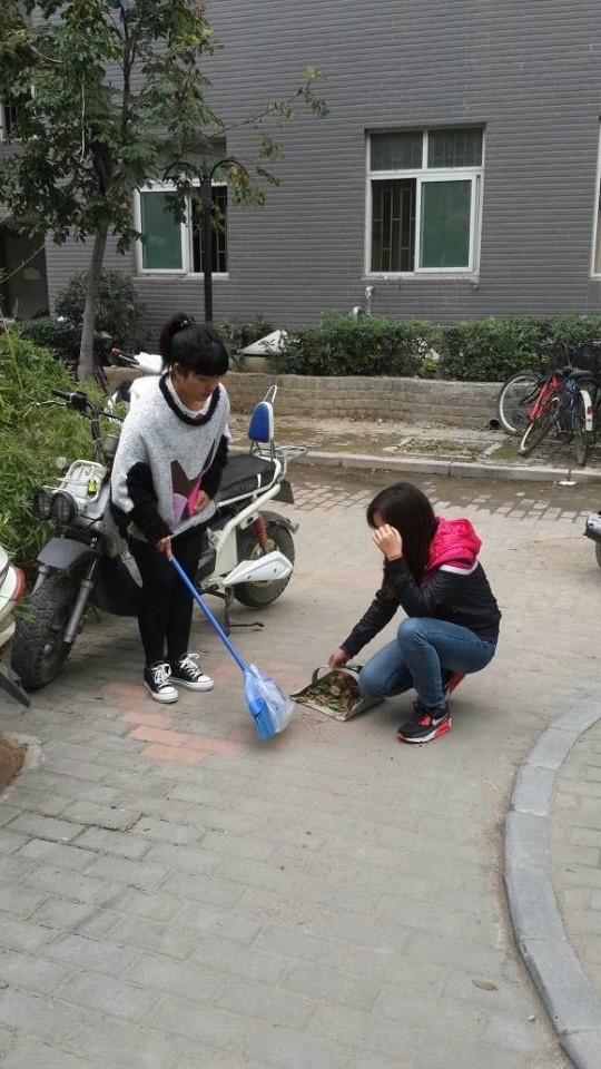 伸出你的手，让郑师更美丽