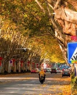 图示, 示意图&#10;&#10;中度可信度描述已自动生成:ver1
