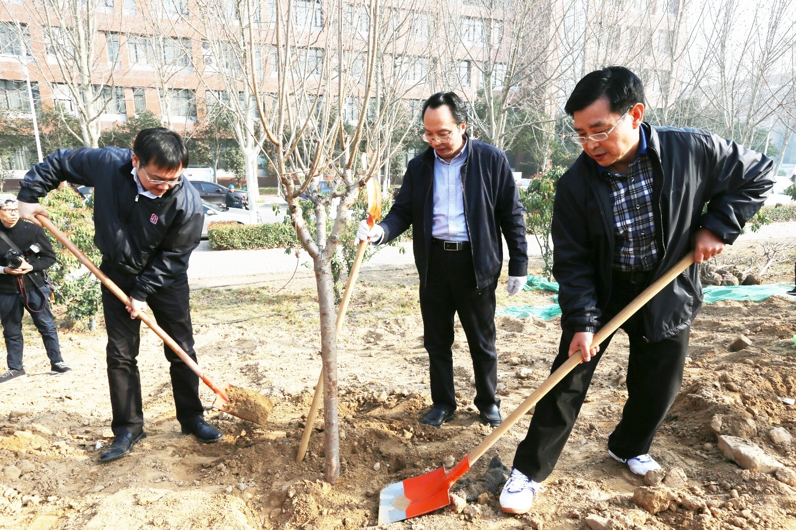 植树1.JPG