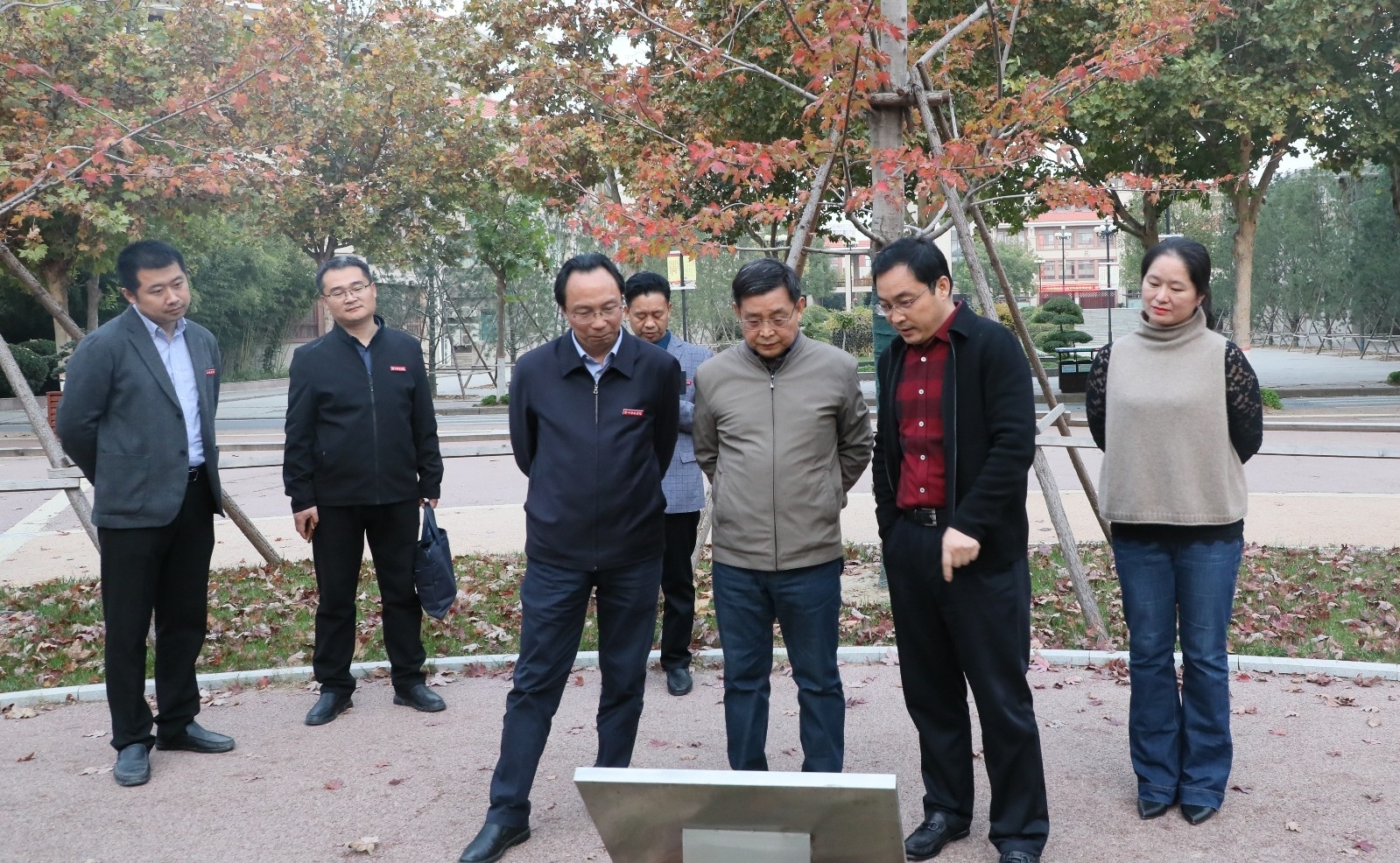 6N3A6341_看图王.jpg