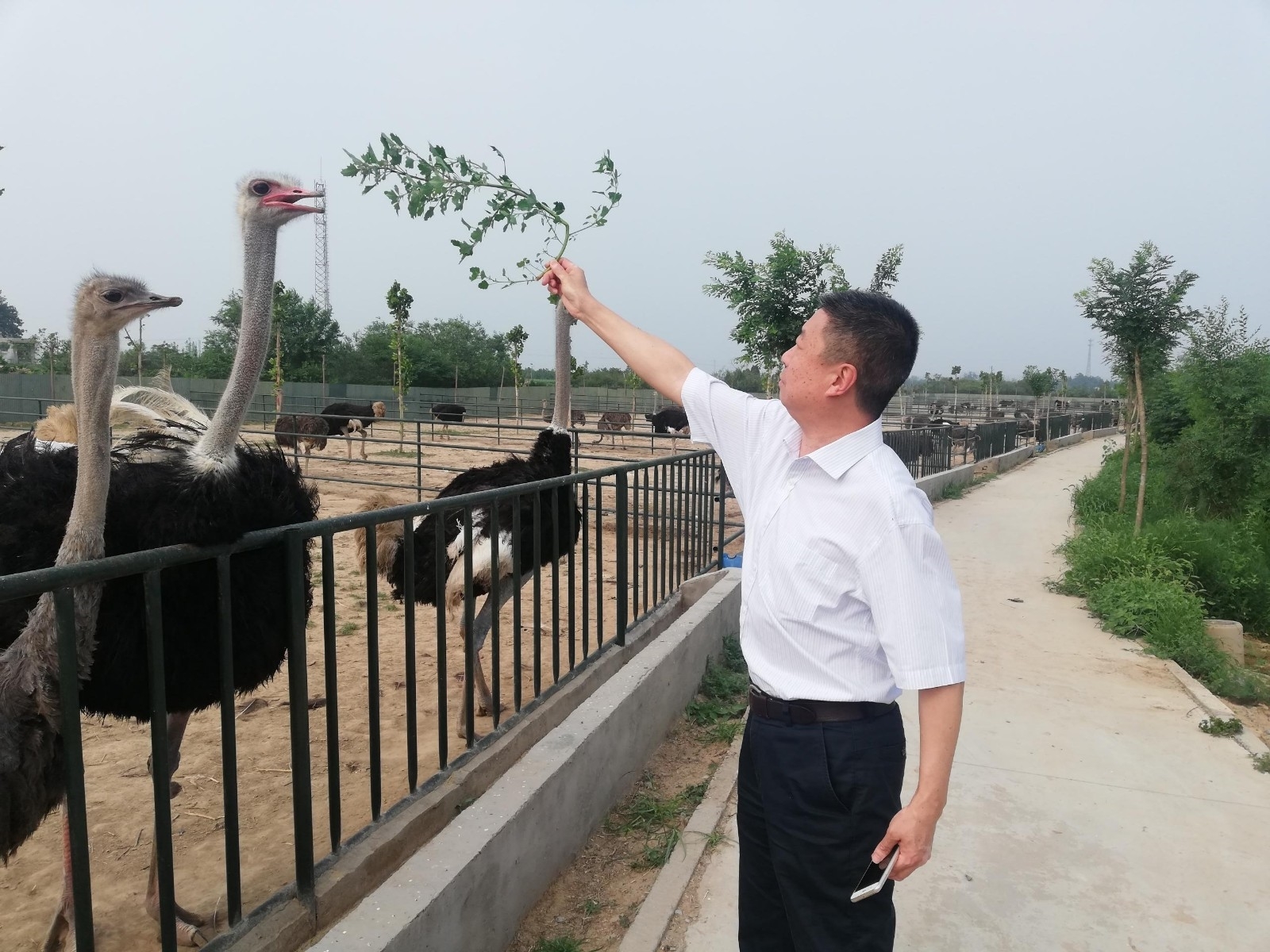 微信图片_20200701160015.jpg