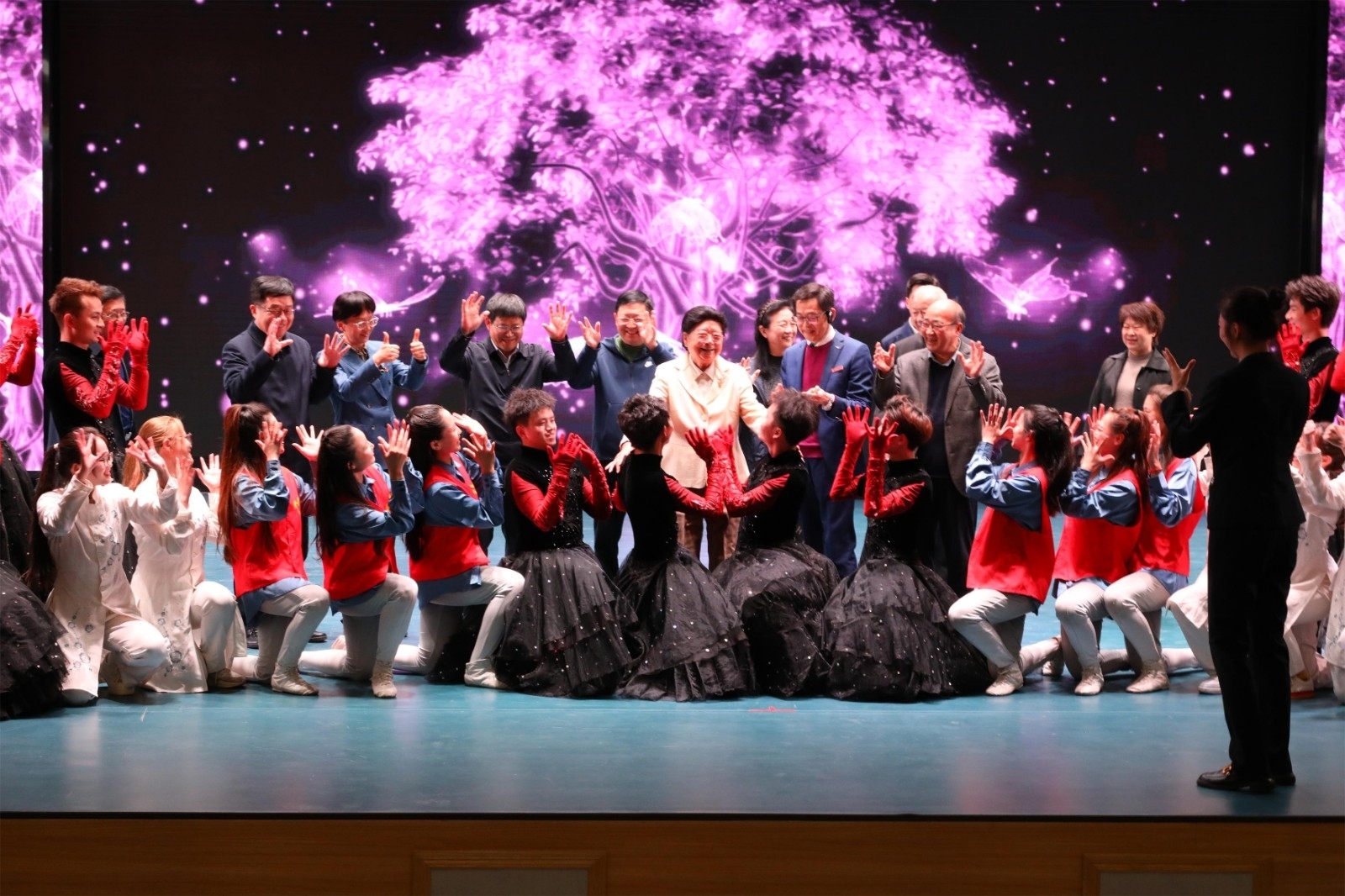 2.观看郑州师范学院残疾人艺术团大学生的汇报演出.JPG