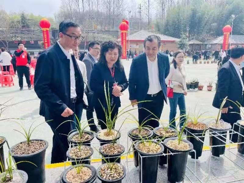 微信图片_20230403092504.jpg